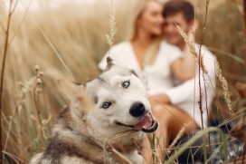 gallery/couple-dans-champ-automne-jouant-chien_1157-26846